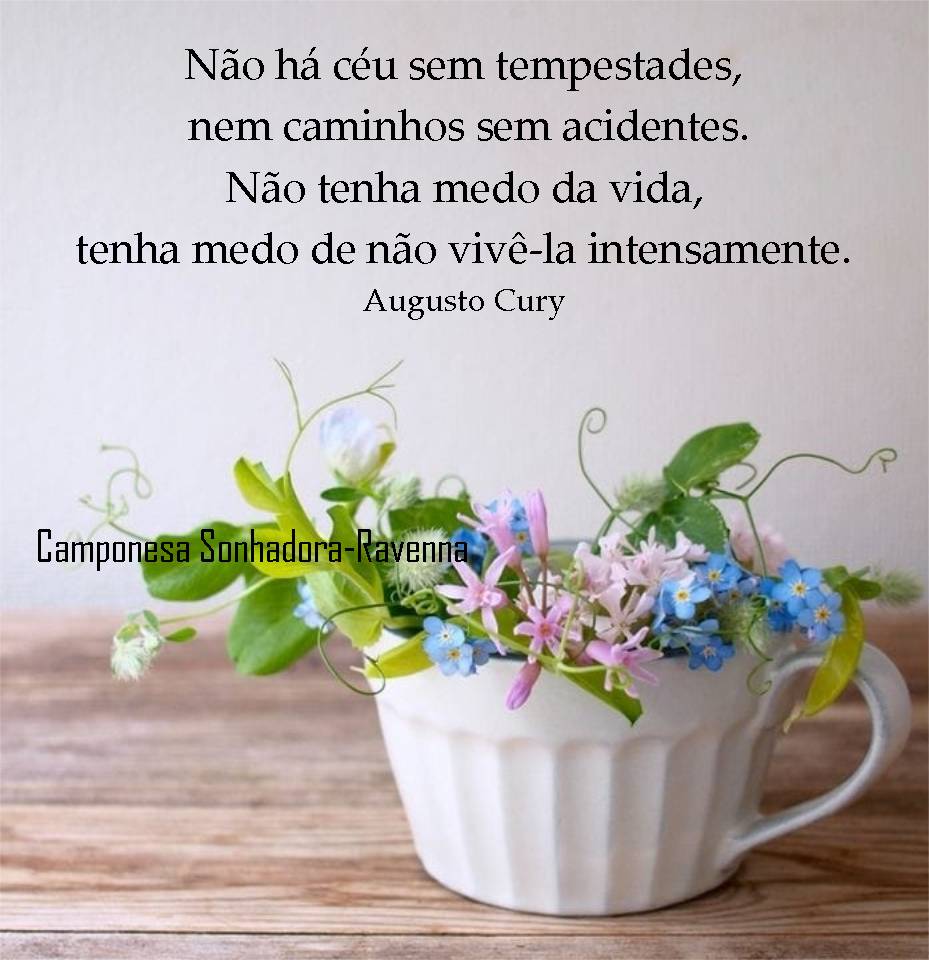 Não há céu sem tempestades, nem caminhos sem acidentes. Não tenha medo da vida, tenha medo de não vivê-la intensamente.