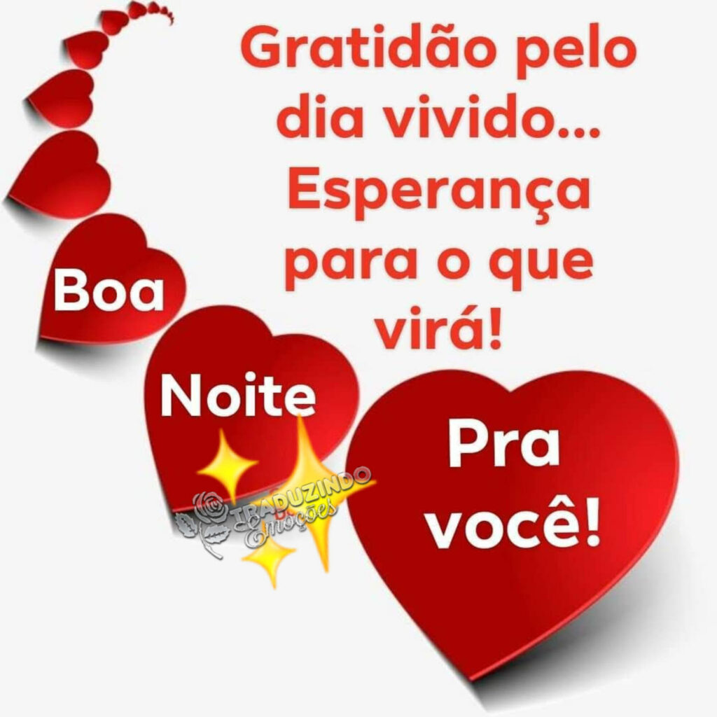 Gratidão pelo dia vivido... Esperança para o que virá! Boa Noite pra você!