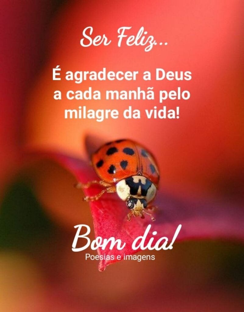 Ser feliz... É agradecer a Deus a cada manhã pelo milagre da vida! Bom dia! (Poesias e imagens)