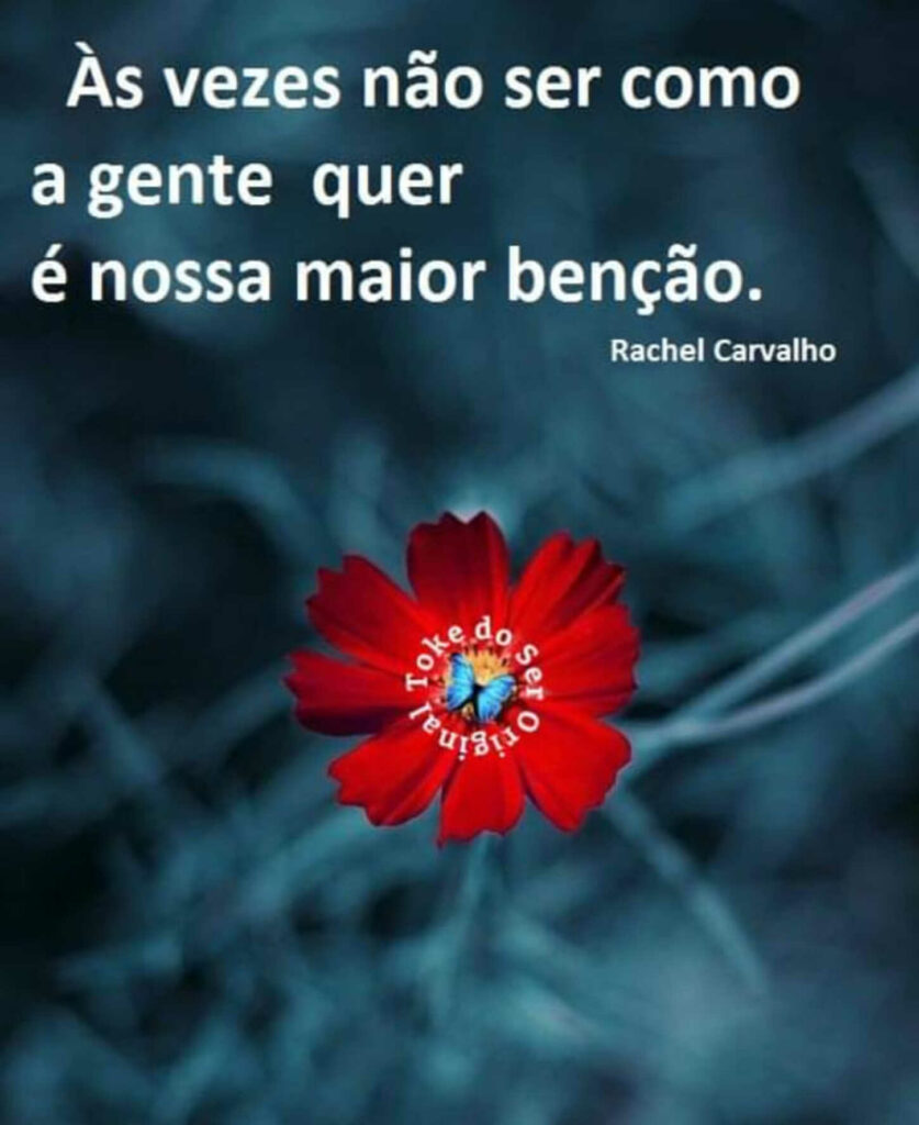 frases novas