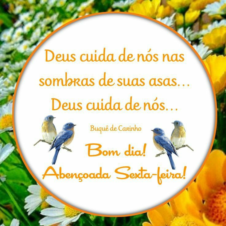 Deus cuida de nós nas sombras de suas asas... Deus cuida de nós... Bom dia! Abençoada Sexta-feira! (Buquê de Carinho)