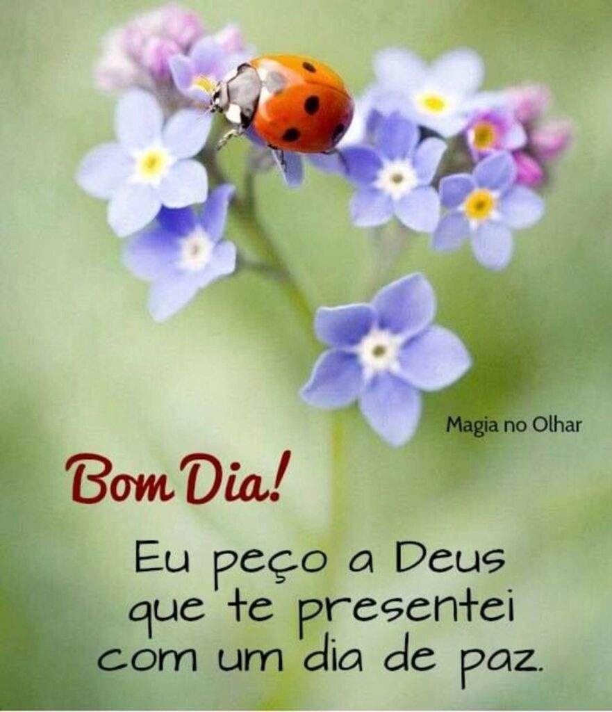 Bom Dia! Eu peço a Deus que te presentei com um dia de paz.