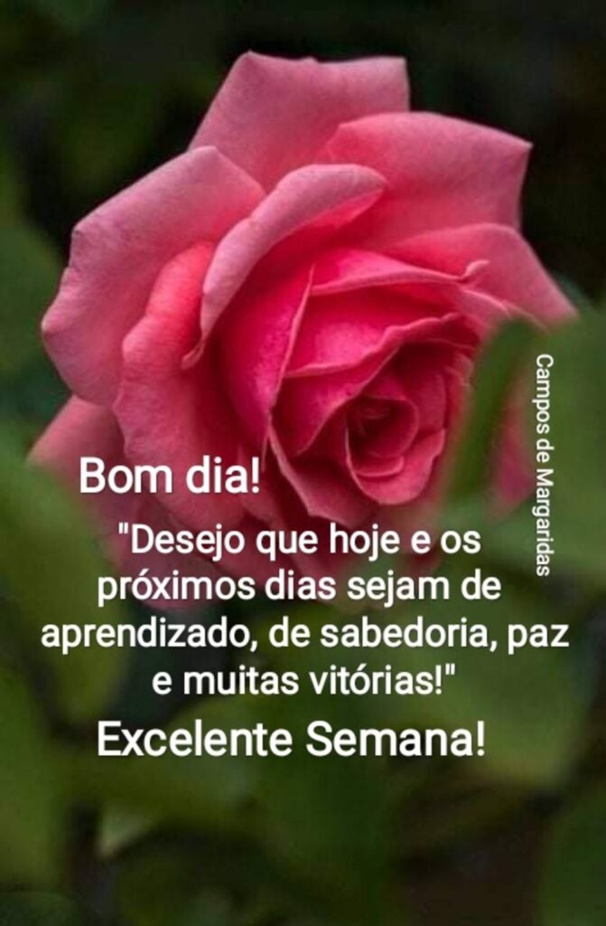 Bom dia! "Desejo que hoje e os próximos dias sejam de aprendizado, de sabedoria, paz e muitas vitórias!" Excelente Semana!