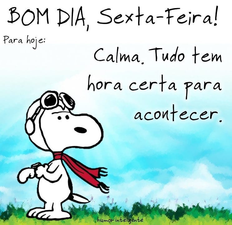 Feliz Sexta Snoopy