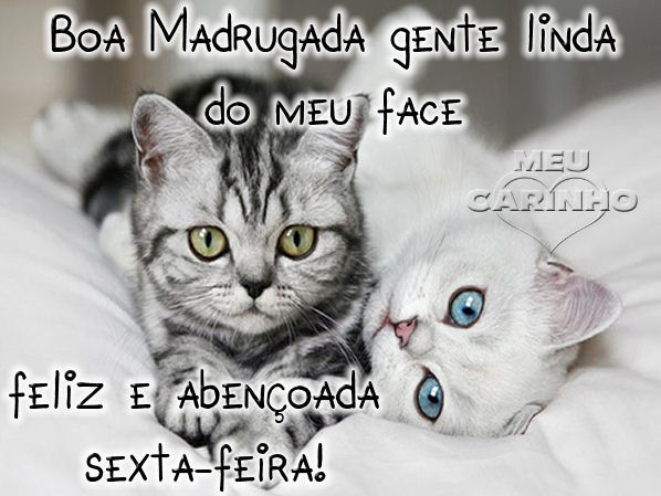 Boa Madrugada gente linda do meu face... Feliz e Abençoada Sexta-Feira!!