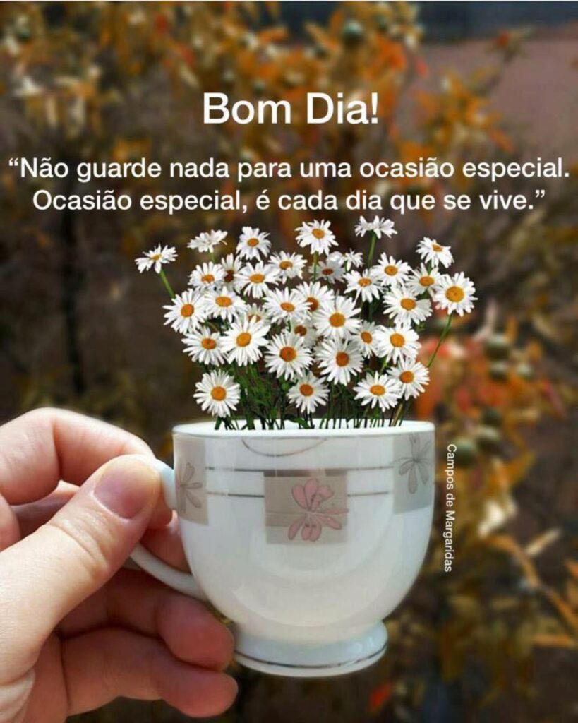 "Não guarde nada para uma ocasião especial. Ocasião especial, é cada dia que se vive."