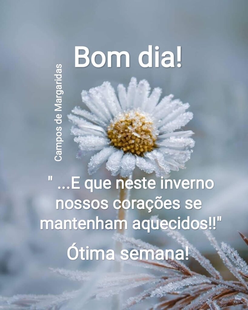 bom dia inverno