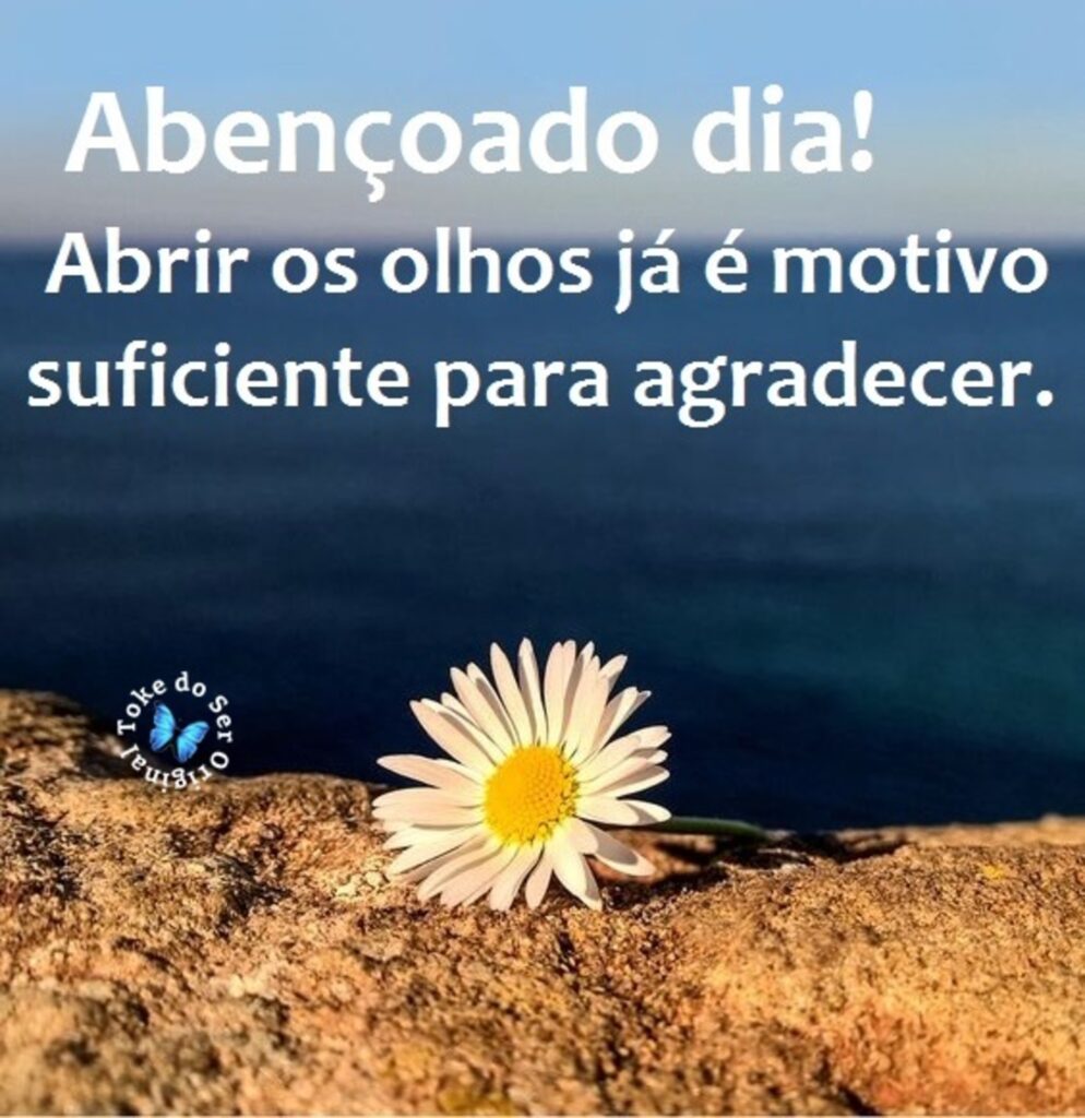 Abençoado dia! Abrir os olhos já é motivo suficiente para agradecer.