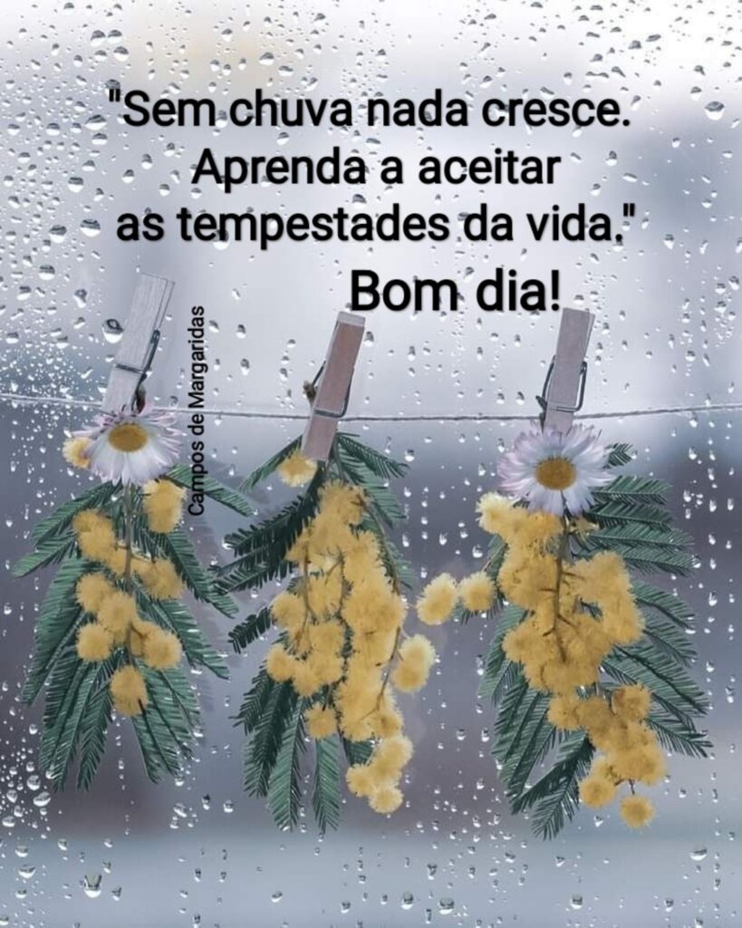 "Sem chuva nada cresce. Aprenda a aceitar as tempestades da vida." Bom dia!