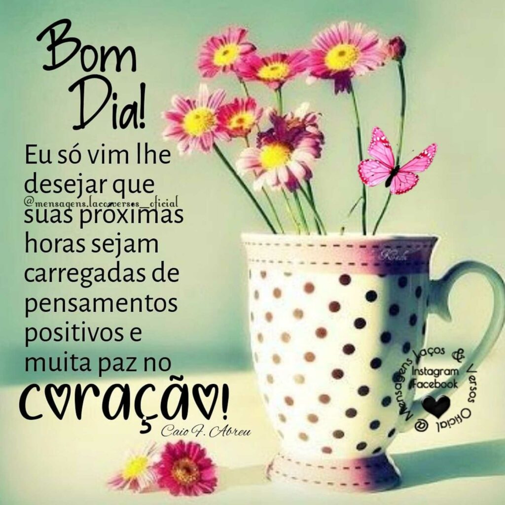 Bom Dia! Eu só vim lhe desejar que suas proximas horas sejam carregadas de pensamentos positivos e muita paz no coração!