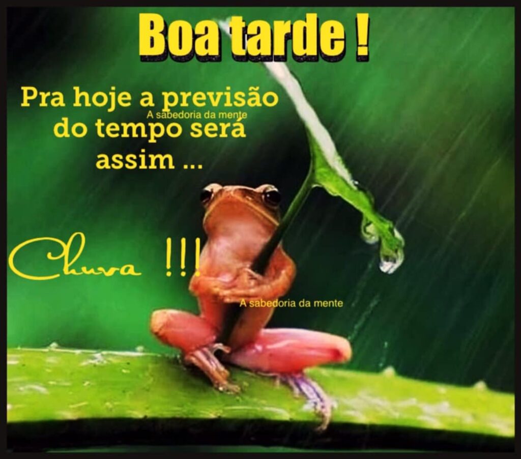 boa tarde com chuva