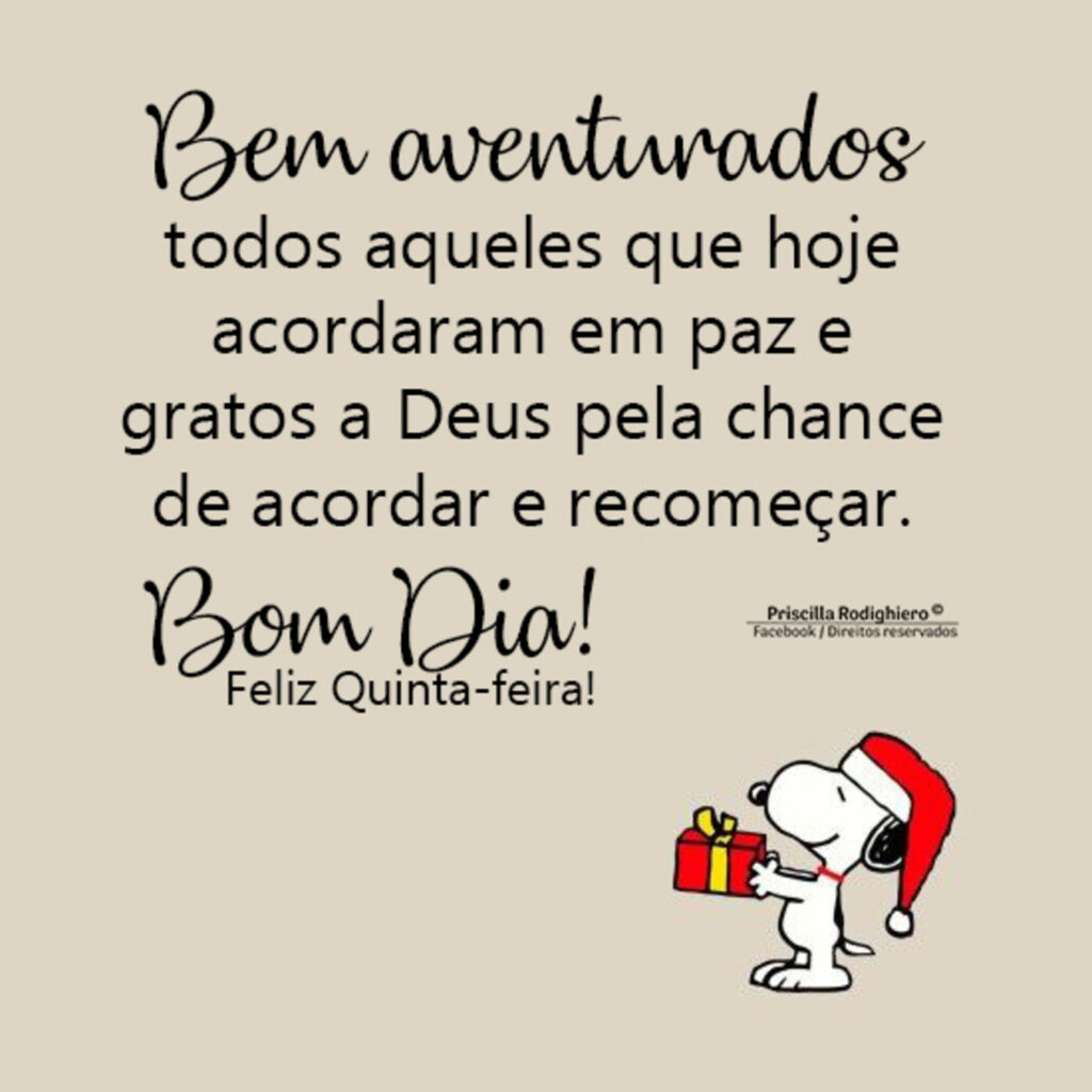 Bom Dia Natal Snoopy