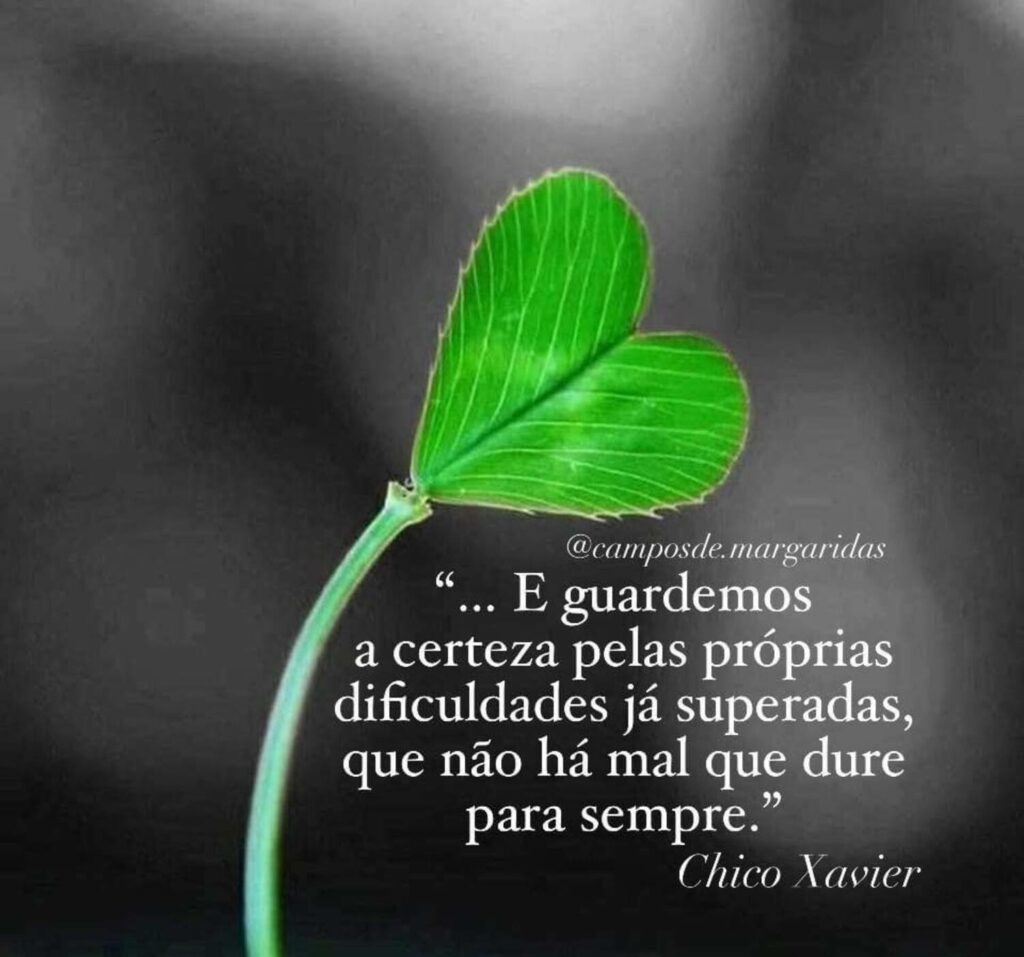 "...E guardemos a certeza pelas próprias dificuldades já superadas, que não há mal que dure para sempre." (Chico Xavier)