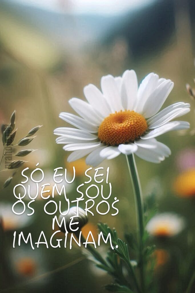 “Só eu sei quem sou. Os outros me imaginam.”